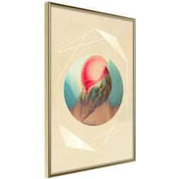 Arkiio Affisch Seashell [Poster] 40x60 Poster